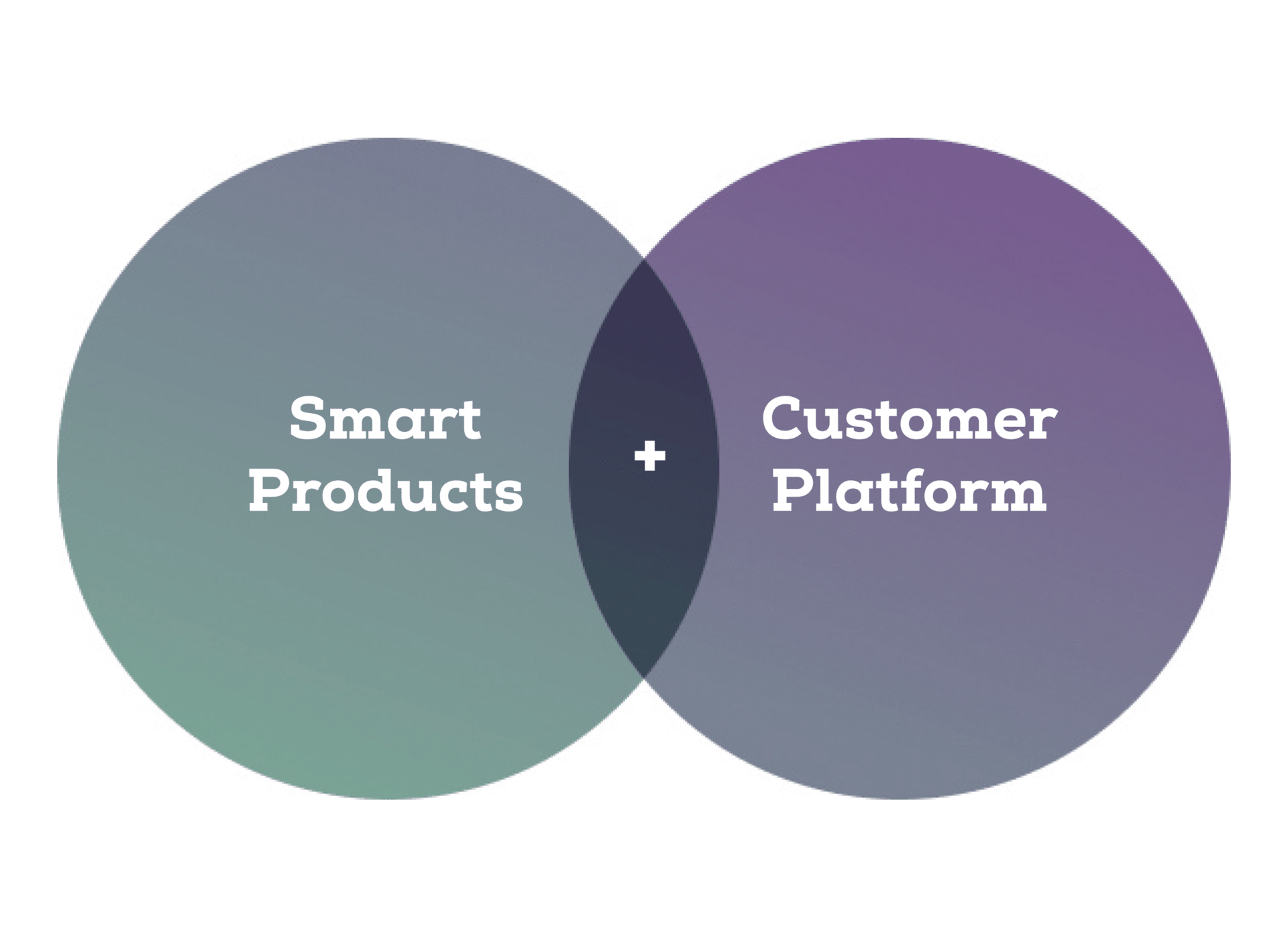 Diagram of a product and customer platform showing networking and digital integration.