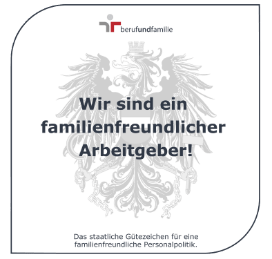 Mitarbeiter bei der Arbeit an einem Laptop, unterstützt durch die flexiblen Arbeitsmodelle und technologische Ausstattung von CANCOM Austria.